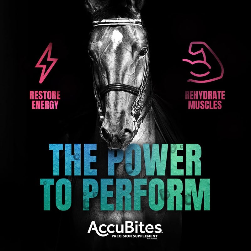 Manna Pro AccuBites Replenish Equine Supplement - Hydration & Immune Support Supplement for Horses - Contains Vitamin E & Turmeric - Turmeric & Molasses Flavored - 1.6 lbs - Image 4